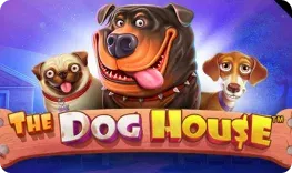 Dog House Megaways